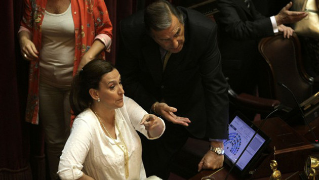 Michetti en el Senado