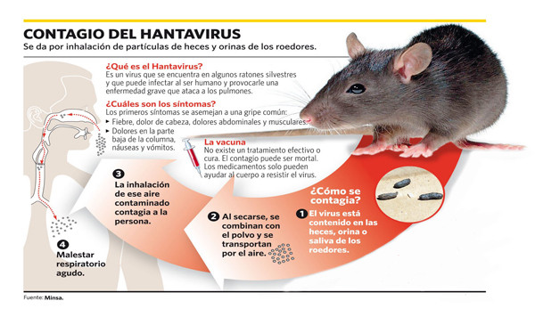 Hantavirus - infografía