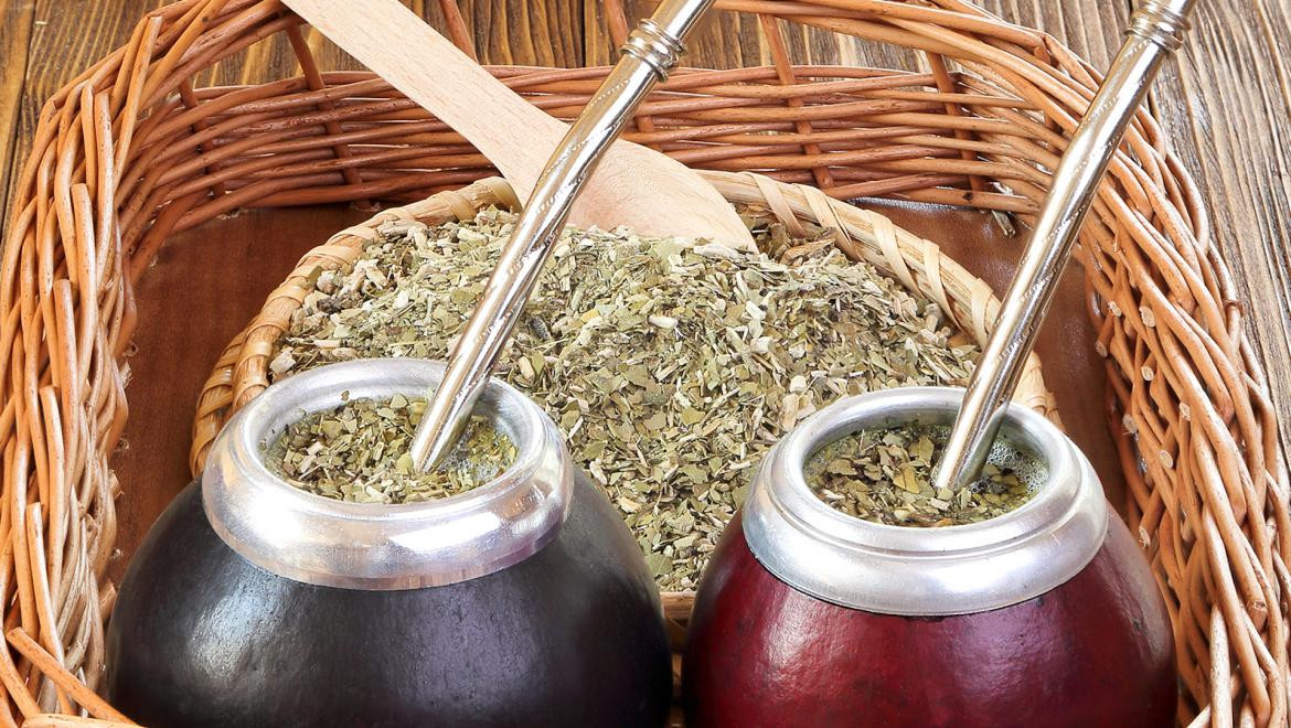 Yerba mate