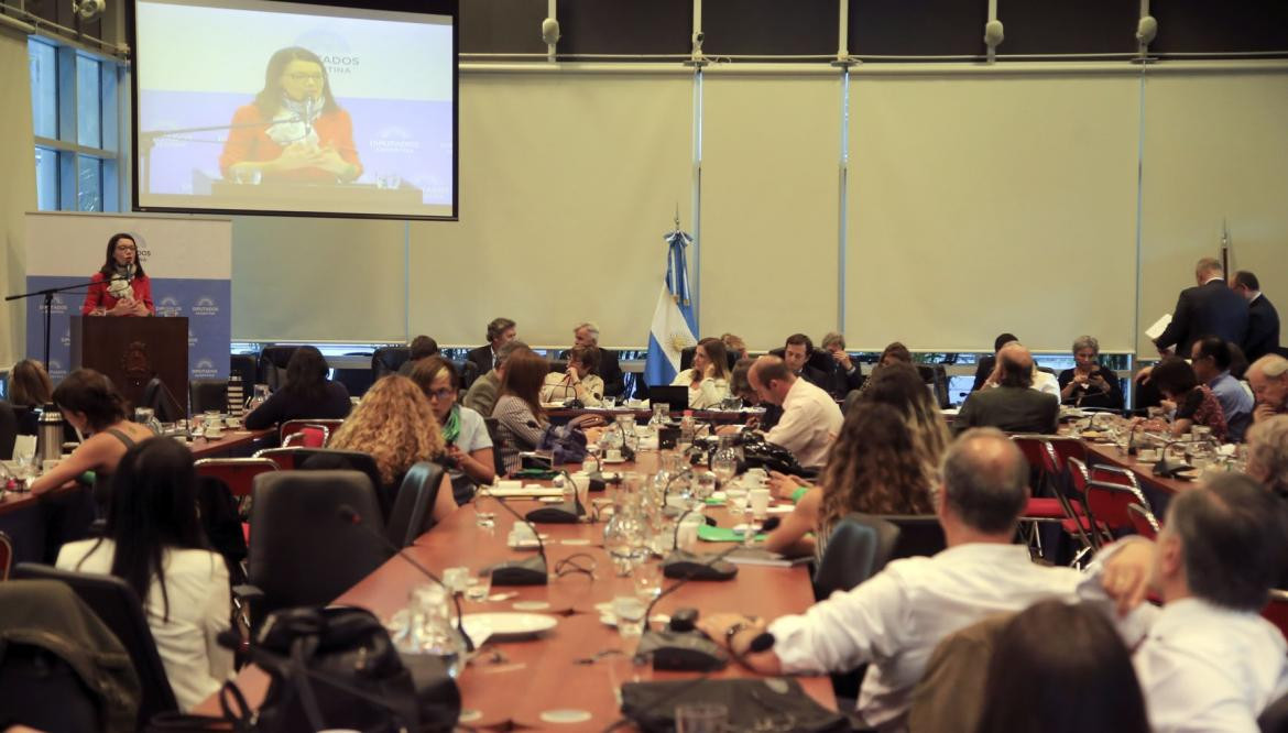 Debate sobre aborto - Congreso