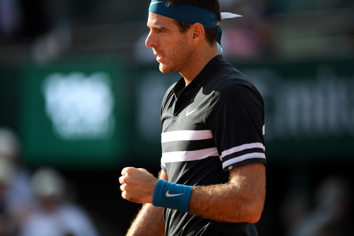 Juan Martín Del Potro, Roland Garros, NA