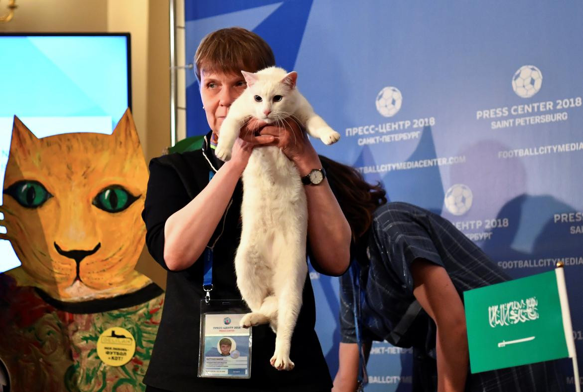 Gato Aquiles, pronosticador Mundial Rusia, Reuters