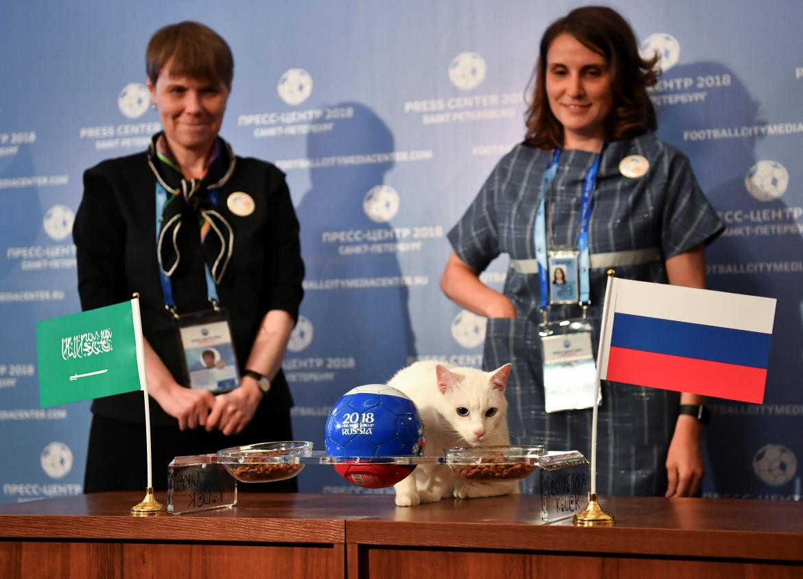 Gato Aquiles, pronosticador Mundial Rusia, Reuters