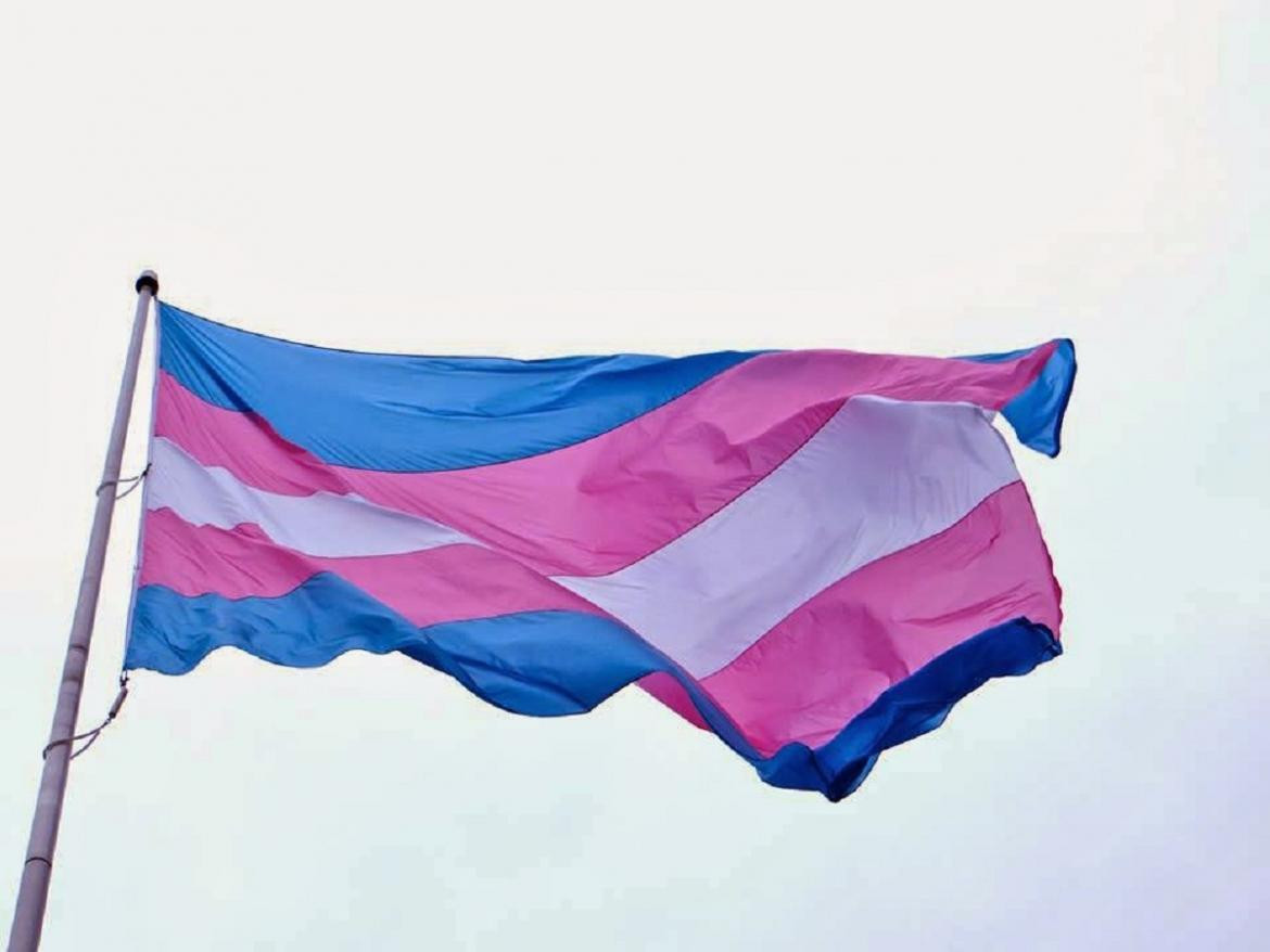 Bandera Trans, transexualidad