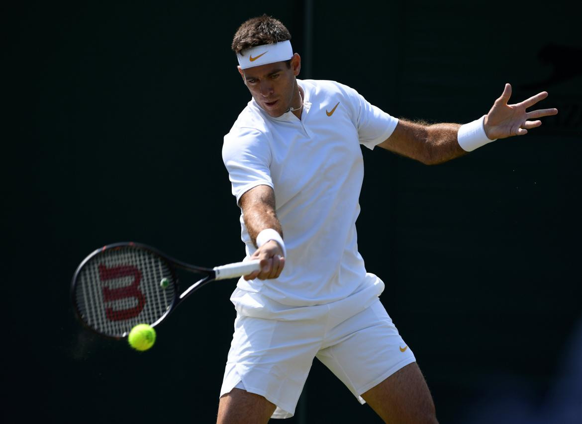 Juan Martín Del Potro - Wimbledon (Reuters)