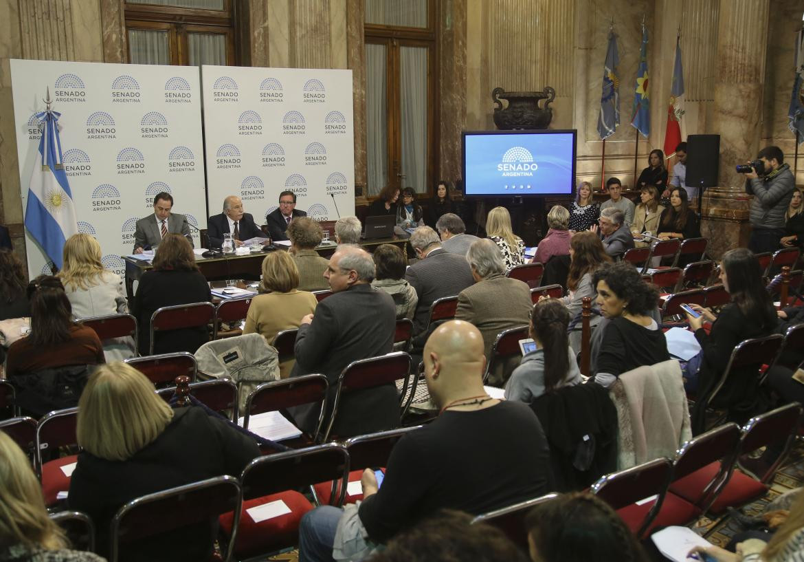 Debate en el Senado por el aborto legal (NA)