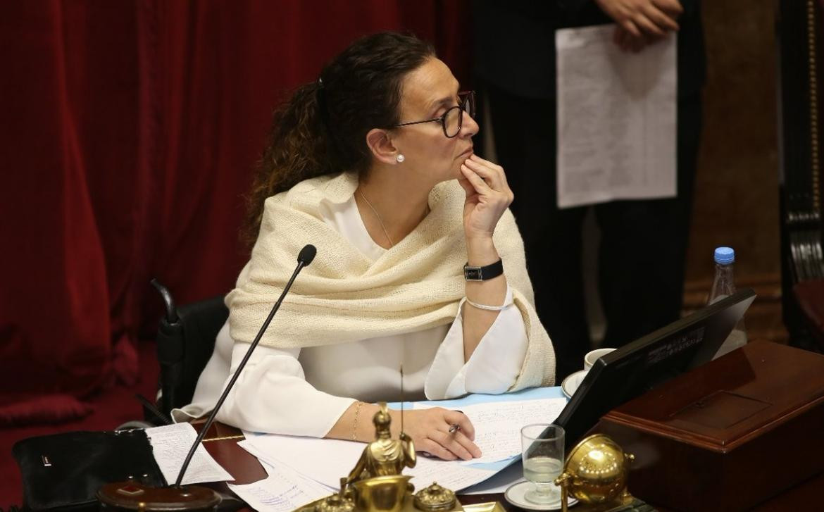 Michetti - Senado - debate por el aborto