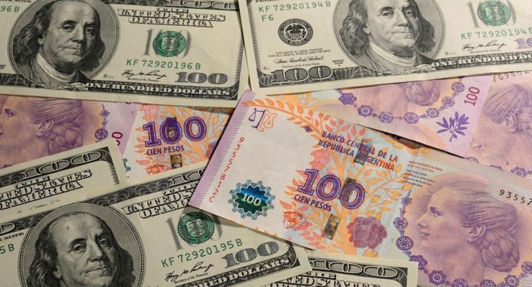 Dólares y pesos - Economía - Billetes