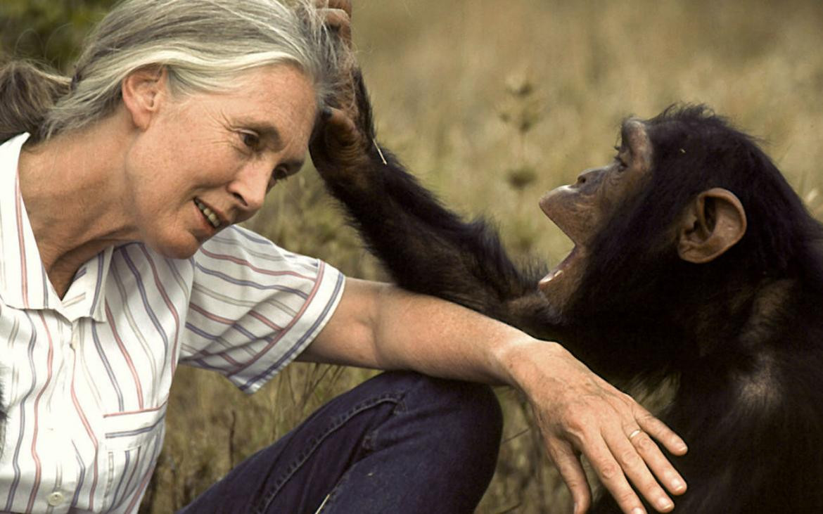 Jane Goodall