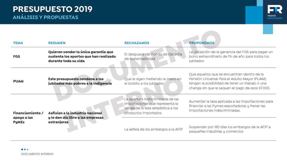 Presupuesto 2019 - Frente Renovador - Análisis y propuestas