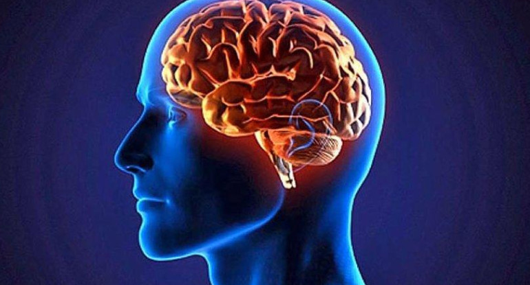 Enfermedad neurológica, cerebro, Parkinson, accidente cerebrovascular (ACV), demencia