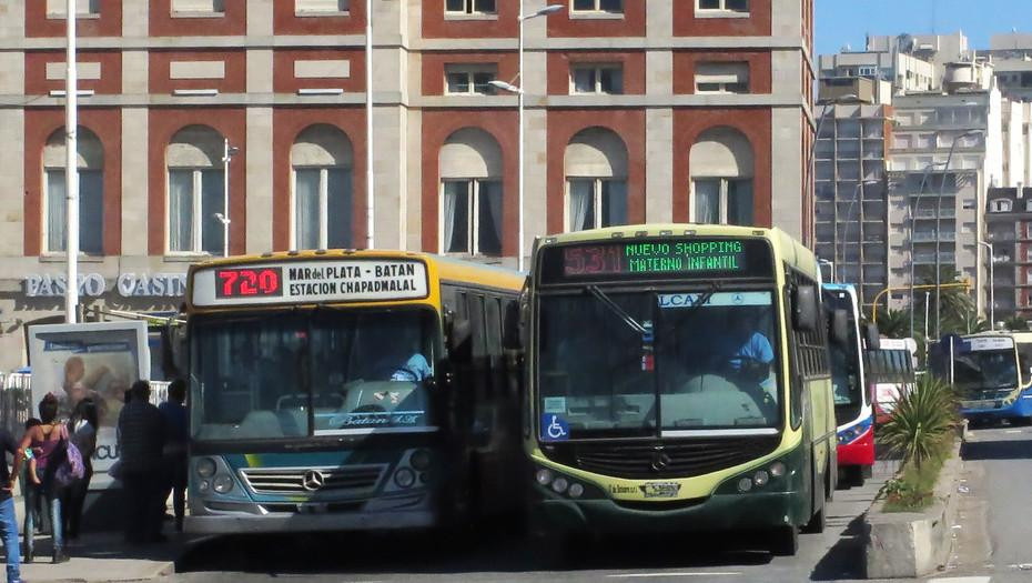 Colectivos en Mar del Plata