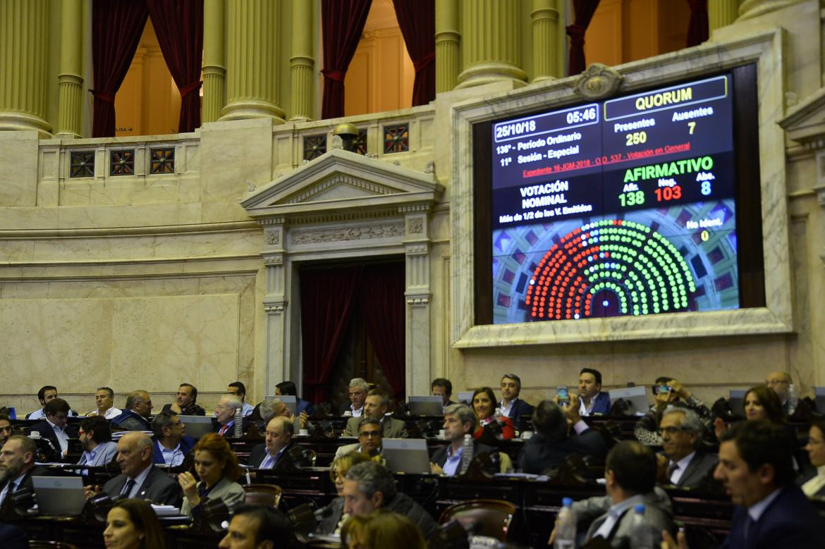 Aprobación del Presupuesto 2019 en Diputados (NA)