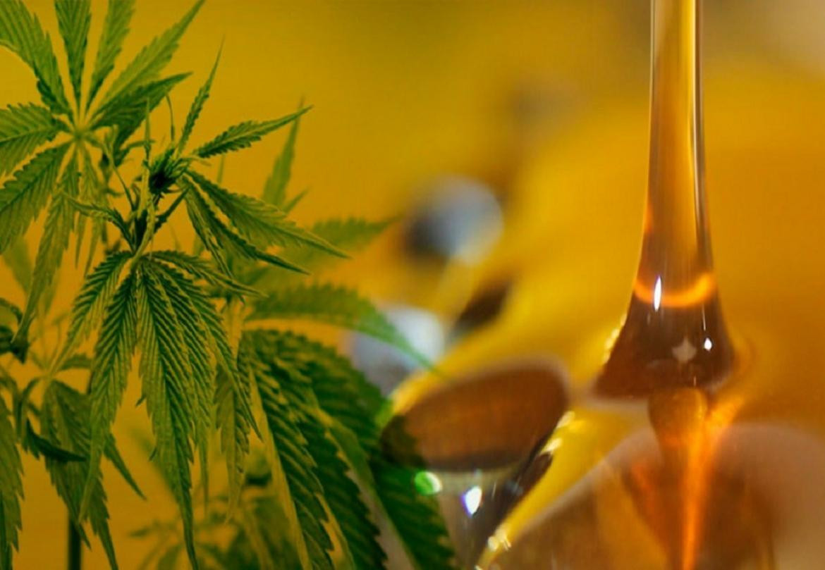 Hospital Garrahan: iniciaron ensayos médicos con aceite de cannabis