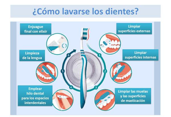 Salud - higiene bucal