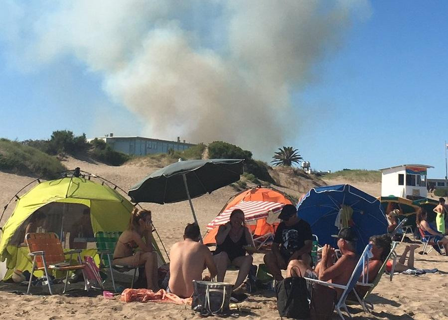 Incendio forestal - Villa Gesell