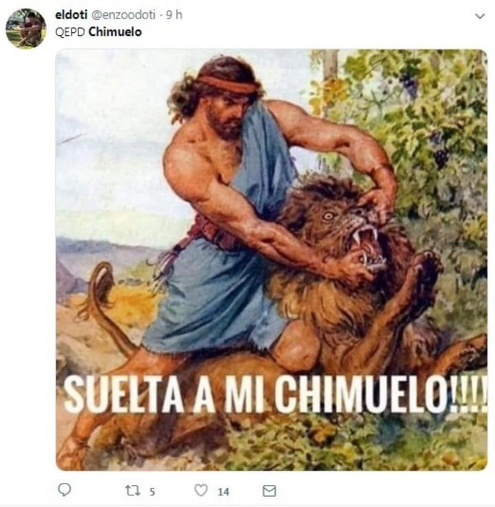 Chimuelo - memes internet