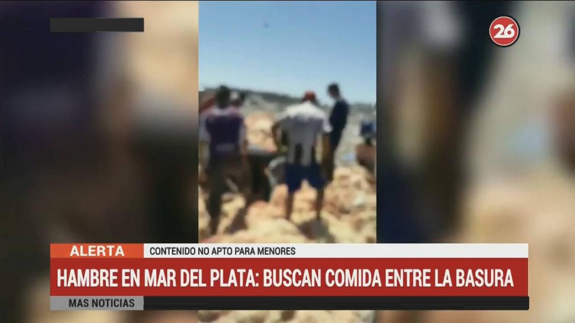 Mar del Plata: La gente busca Pollos en mal estado tirados por supermercado (Canal 26)