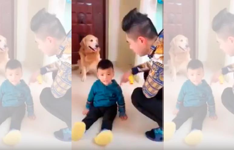 Video viral: perro se protege a niño del reto de su padre