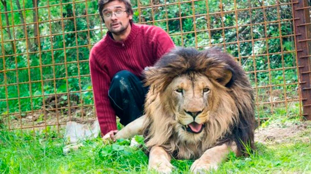 Michal Prasek, criador de leones, devorado, animales salvajes