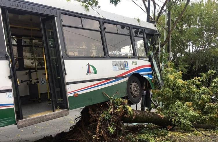 Choque de un colectivo contra un árbol en Villa Devoto