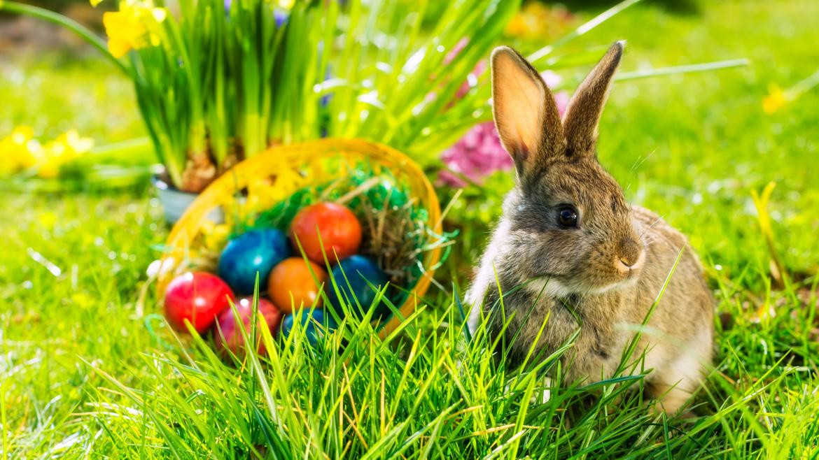 Huevos de Pascua: cuál es su significado y en qué día de Semana