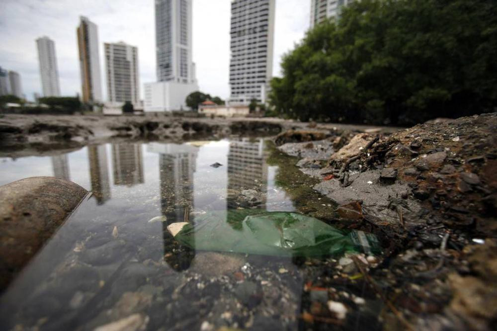 Día Internacional de la Tierra: los 5 problemas que enfrenta el medio ambiente	