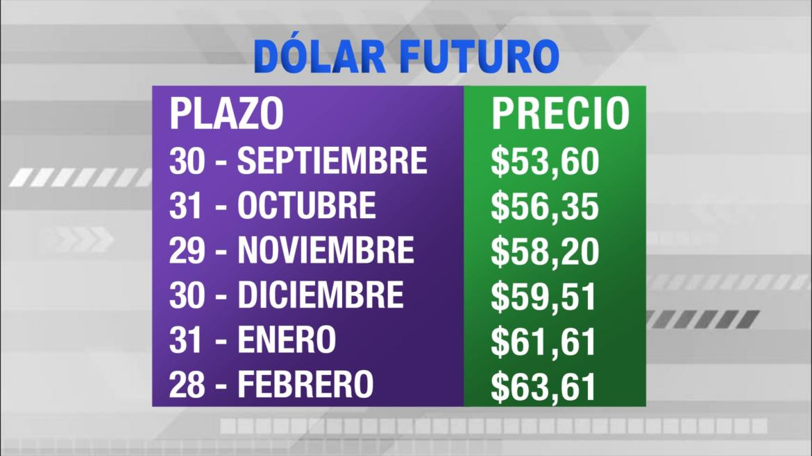 Dólar futuro, cotizaciones septiembre 2019 febrero 2020, economía argentina, CANAL 26