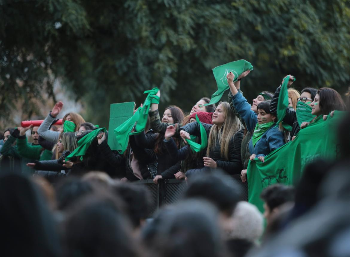 Marcha por Aborto legal - Pañuelos verdes - Proyecto de Ley - Congreso - NA