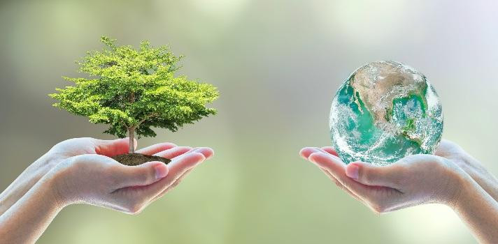 Día Mundial del Medio Ambiente - Efemérides