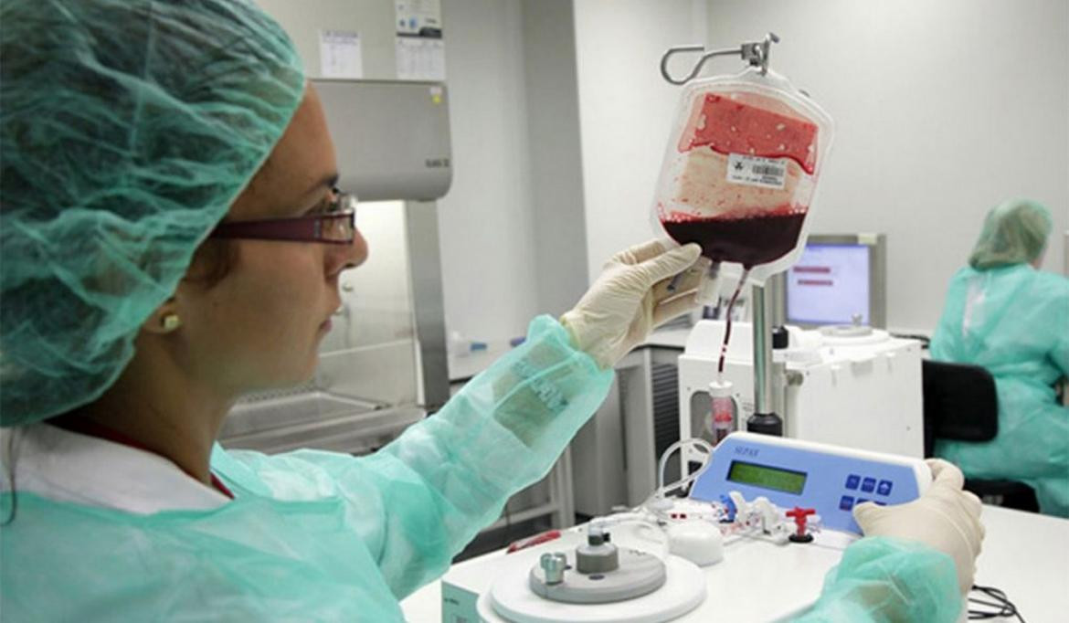 Se conmemora hoy el Día mundial del donante de Sangre