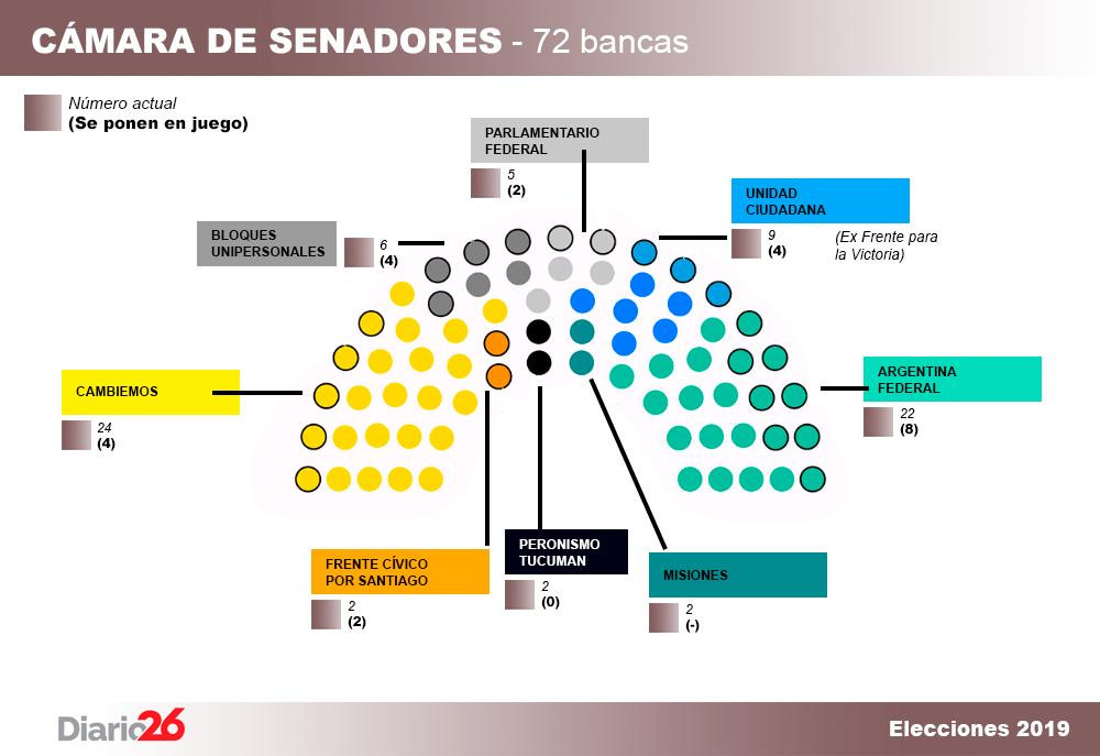 Elecciones 2019, renovación de Cámara de Senadores, política, Diario 26	