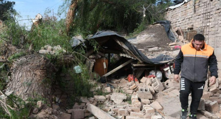 Viento Zonda en Mendoza, árbol cayó sobre vivienda, mujer muerta