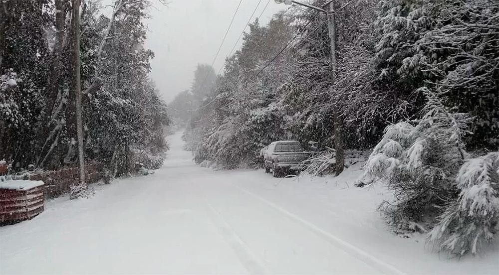 Temporal de nieve en Villa La Angostura