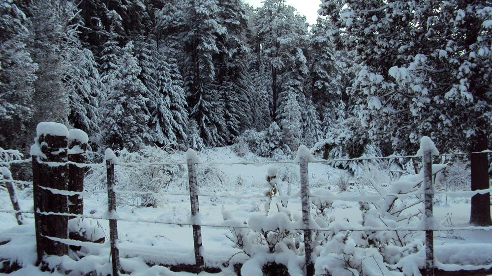 Temporal de nieve en Villa La Angostura	