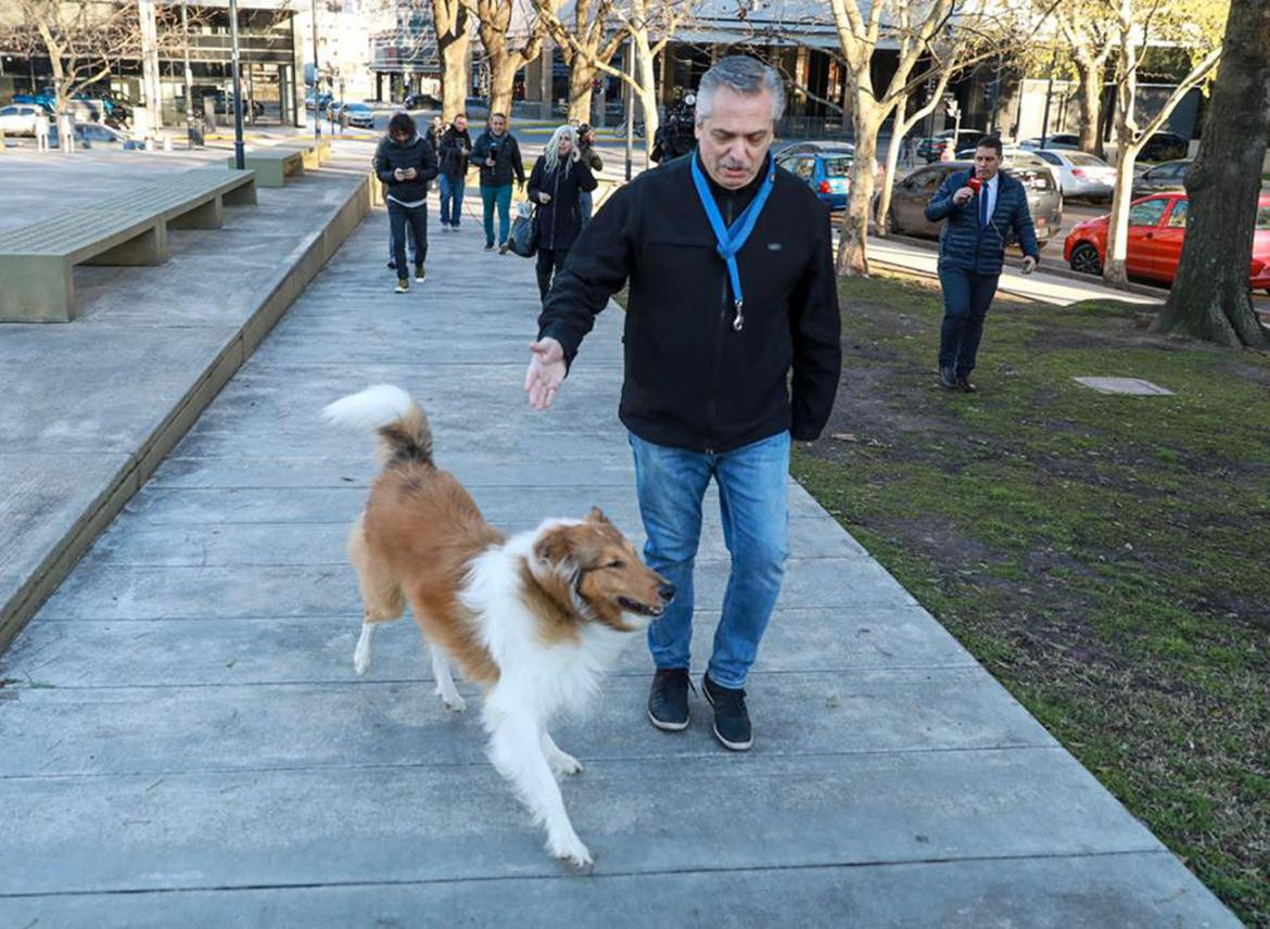 Alberto Fernández antes de votar, PASO