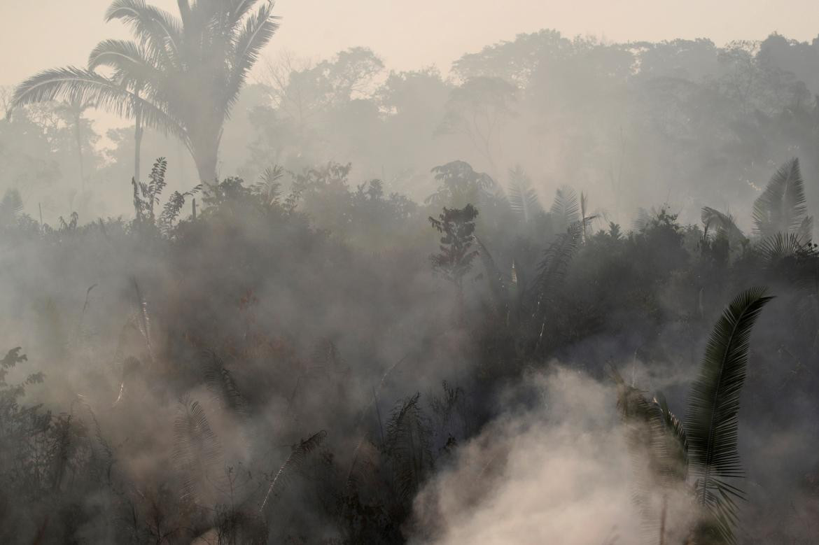 Incendios en el Amazonia, REUTERS