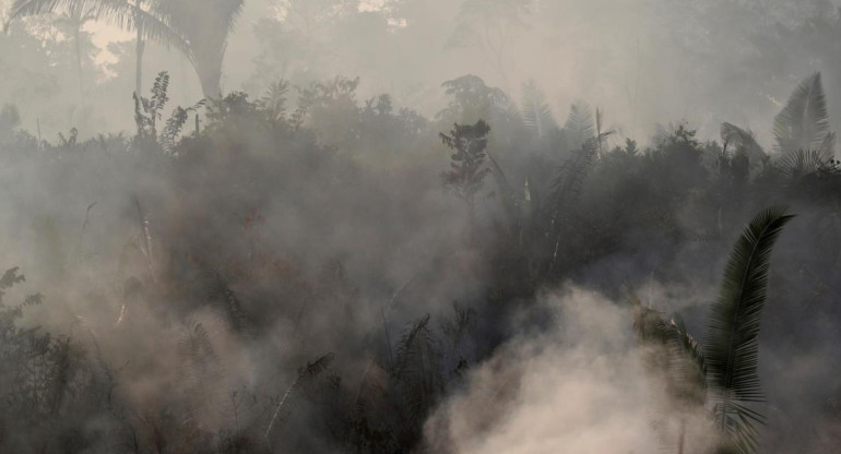 Incendios en el Amazonia, REUTERS