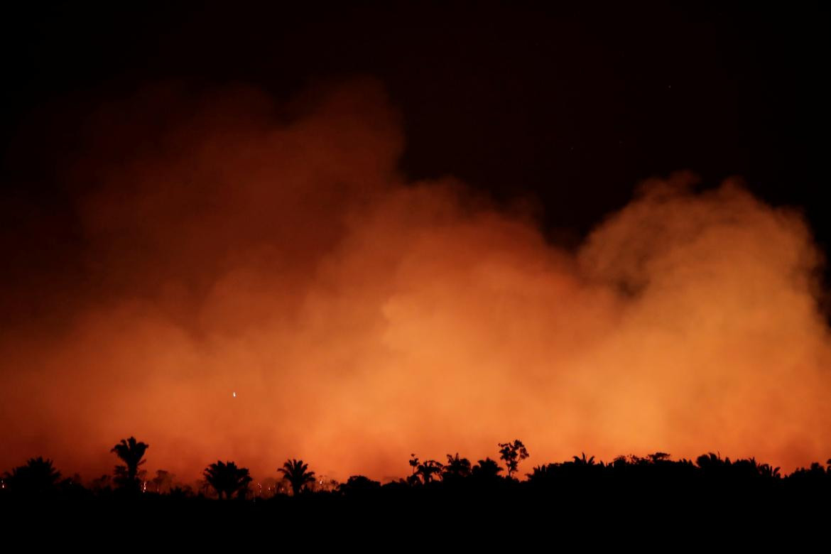 Incendio Amazonia, REUTERS