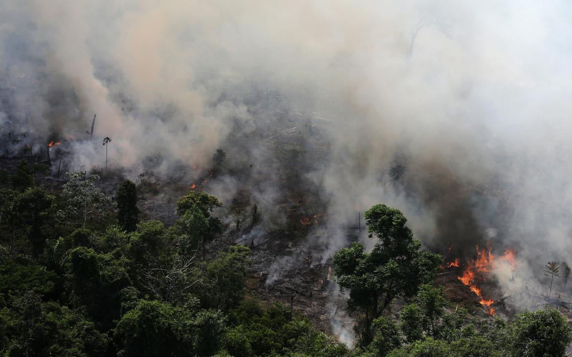 Incendio Amazonia, REUTERS