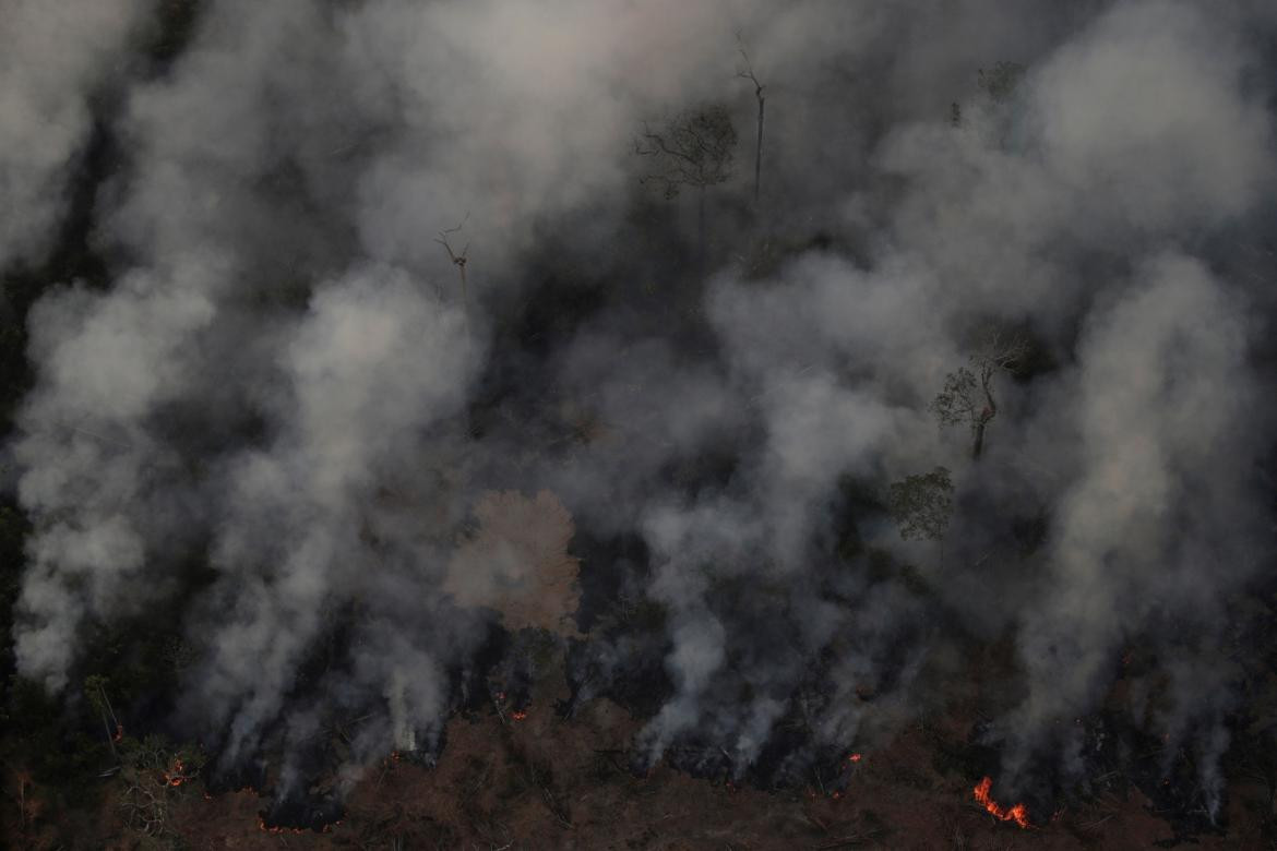 Incendio Amazonia, REUTERS