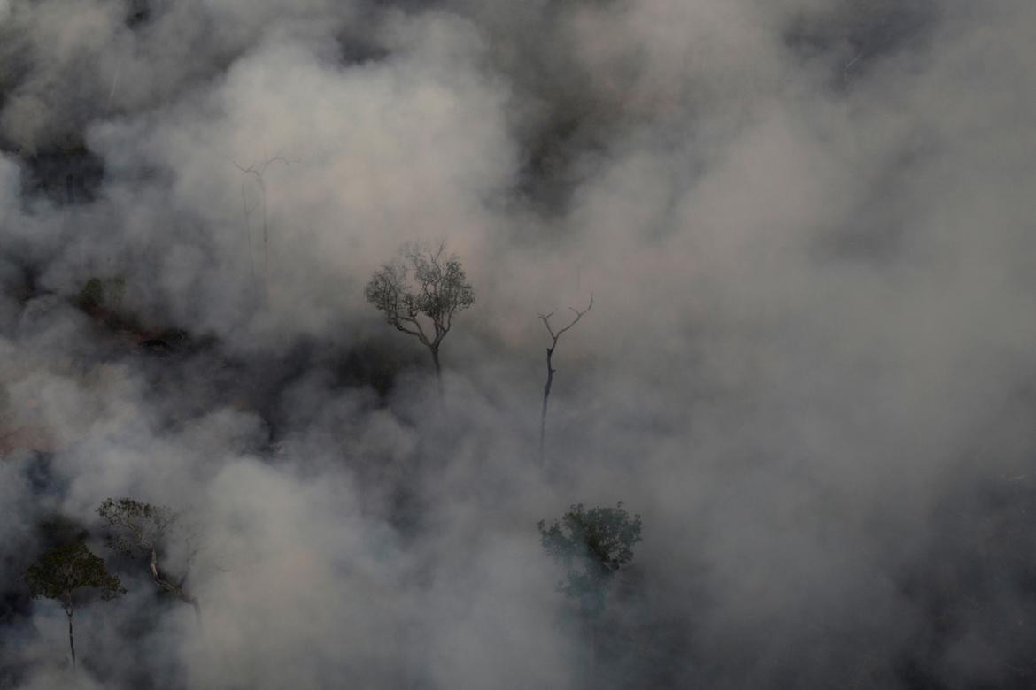 Incendio Amazonia, REUTERS