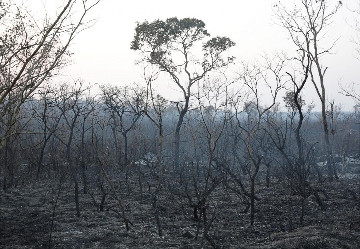 Incendio en Bolivia, REUTERS