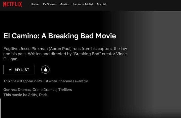 Breaking Bad, Netflix