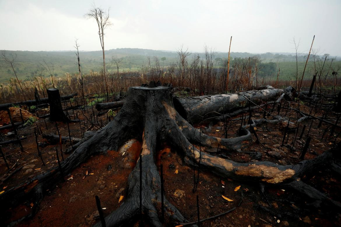 Incendio Amazonia, Brasil, REUTERS