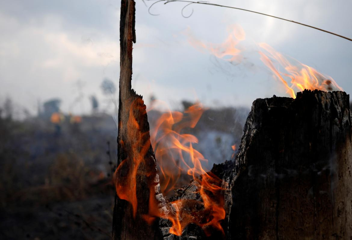 Incendio Amazonia, Brasil, REUTERS