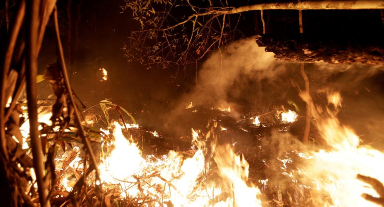 Incendio Amazonia, Brasil, REUTERS