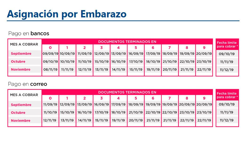 Anses, cronograma de pagos septiembre 2019, asignación por embarazo	