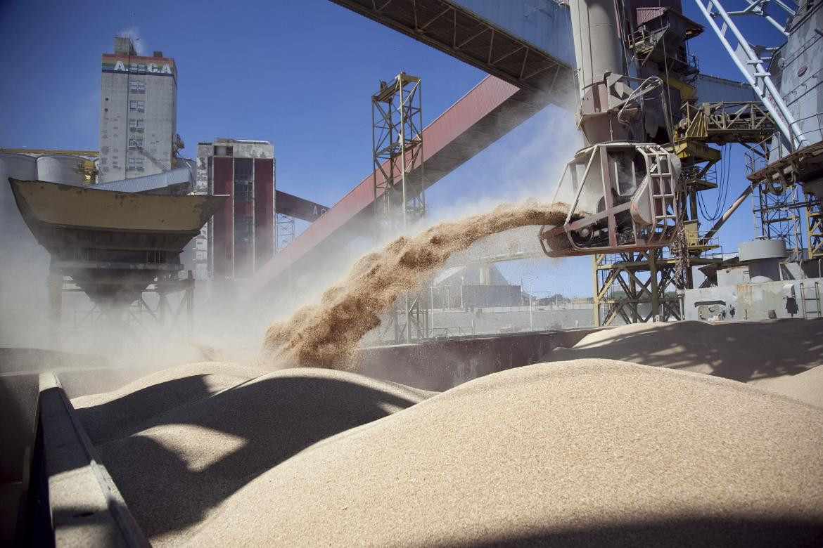 La harina de soja argentina, industria argentina, NA