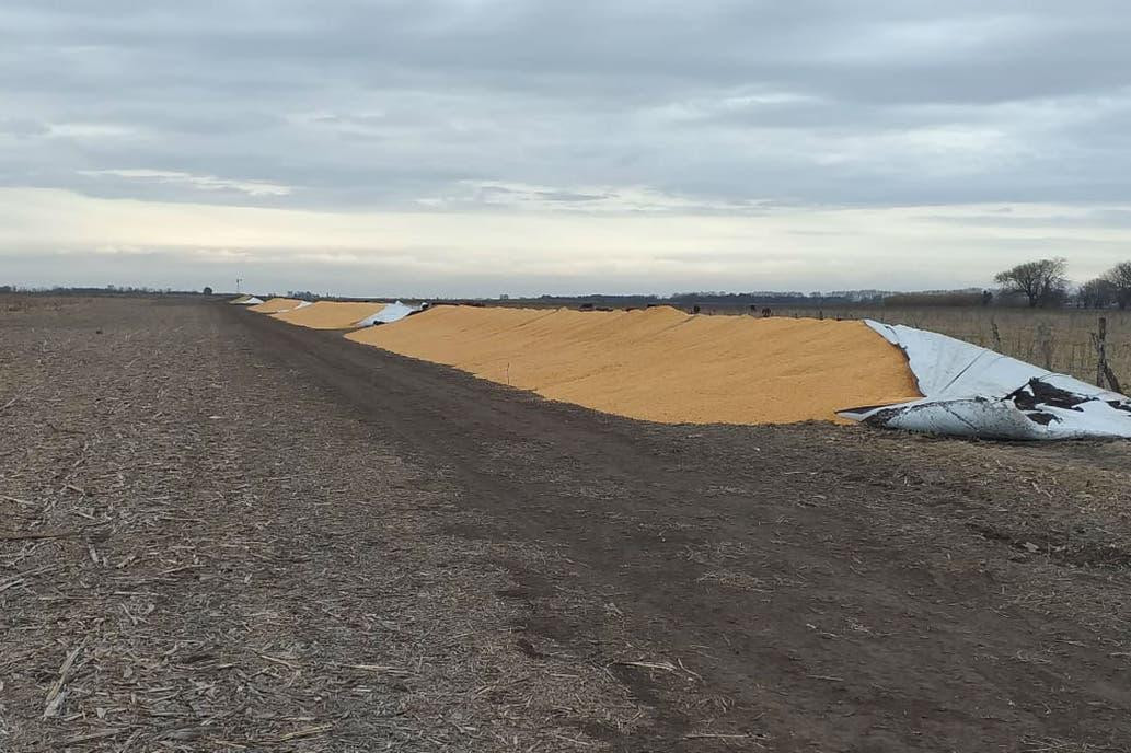 Ataque a silobolsas en campo de Chacabuco